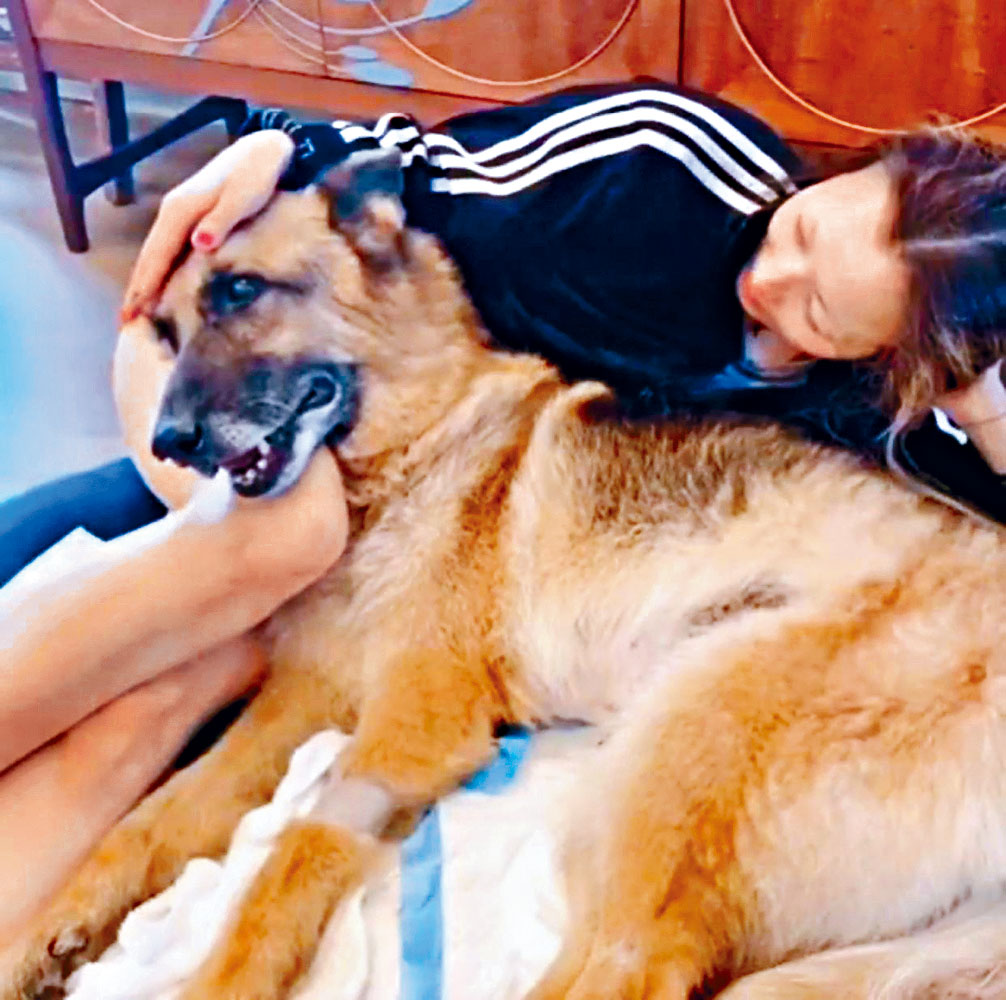 Sammi對愛犬Lucky十分痛錫，要送別牠自是難過。