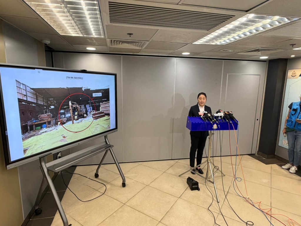 屯门警区总督察（刑事）庄婉娜交代案件。