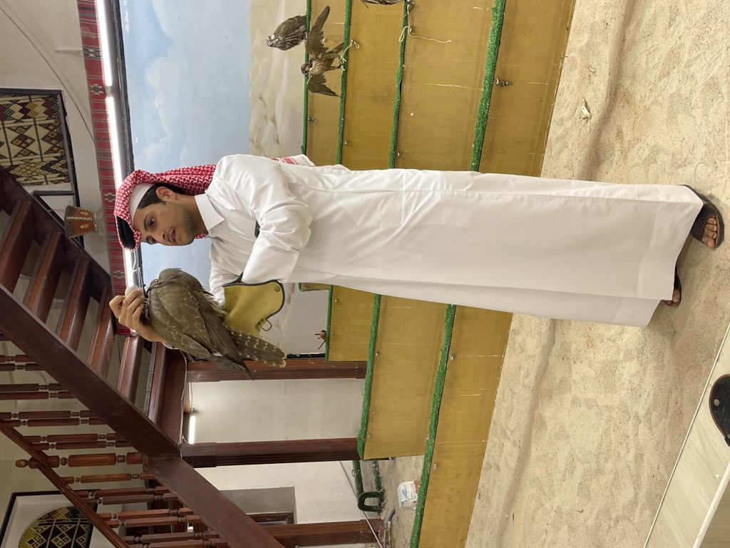 獵鷹是卡塔爾的國鳥，象徵財富和高貴，深受當地人喜愛。