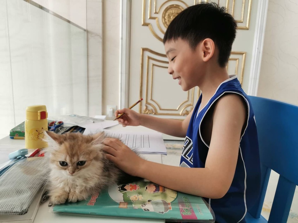 陳伶俐再婚後專心照顧兒子。