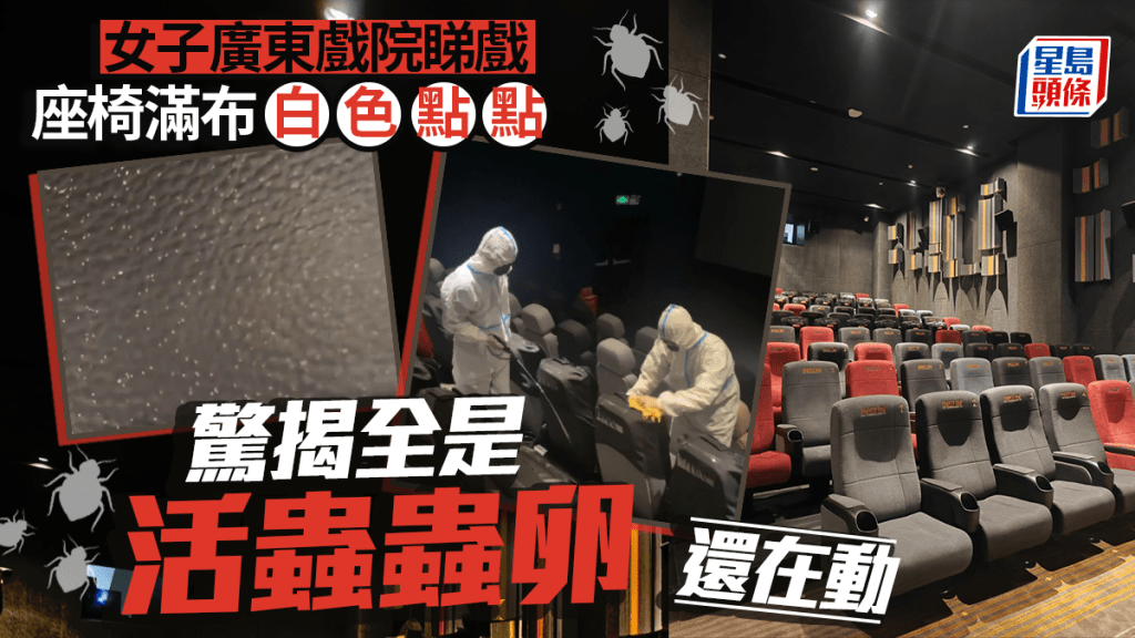 座椅驚現白色蟲卵蠕動,戲院向女觀眾道歉並退票。