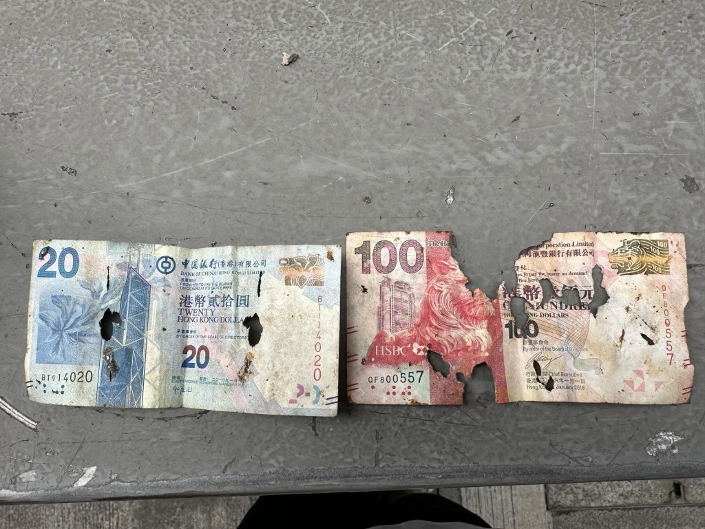 Threads截圖(資料來源:annamaow@Threads) Threads截圖(資料來源:annamaow@Threads)