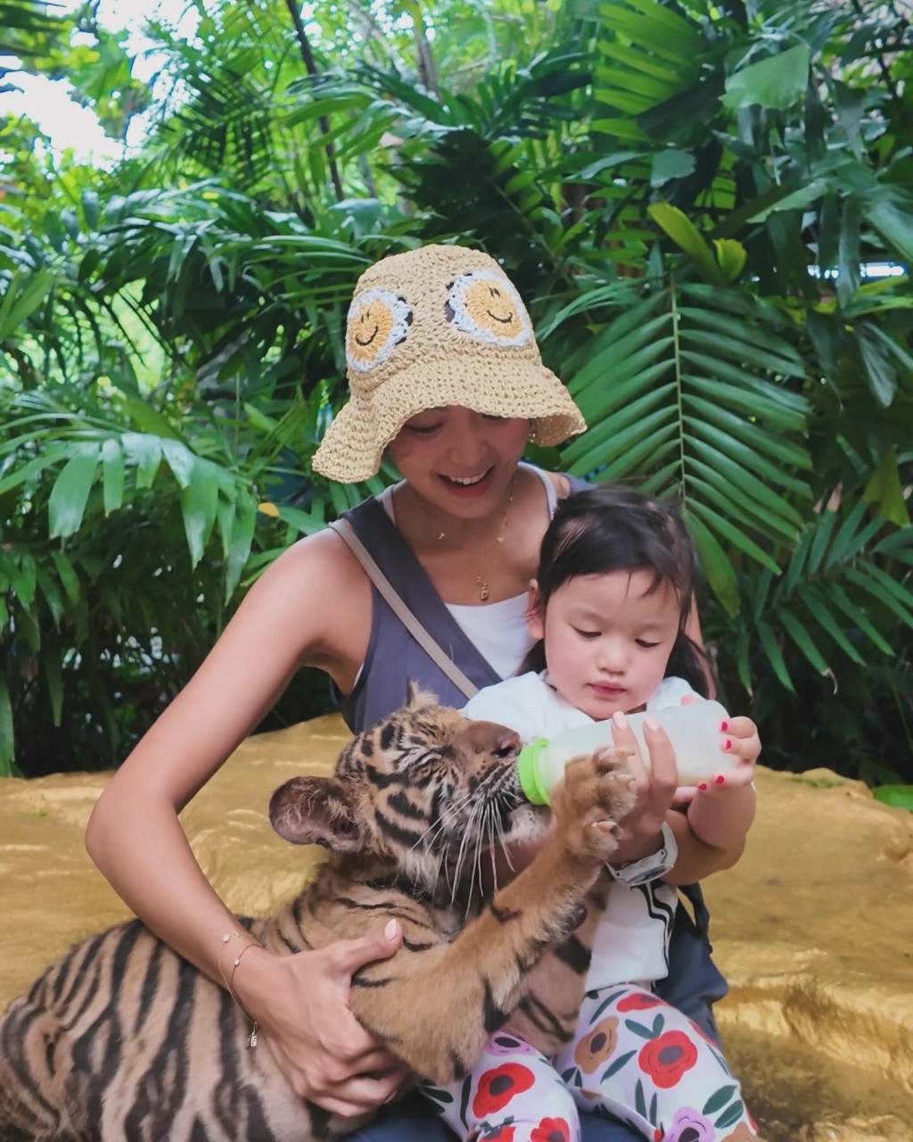 梁諾妍早前孖老公洪永城及Sir Face闖泰國野生動物園，Sir Face坐在媽媽大脾上，梁諾妍一隻手托起老虎BB，另一隻手則與Sir Face一齊餵奶，畫面有愛又溫馨。