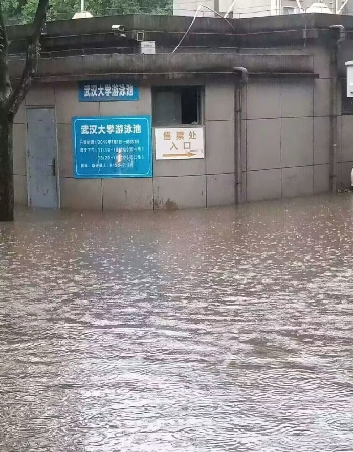武漢發佈暴雨臨災警報,武大校門被淹。 武漢發佈暴雨臨災警報,武大校門被淹。