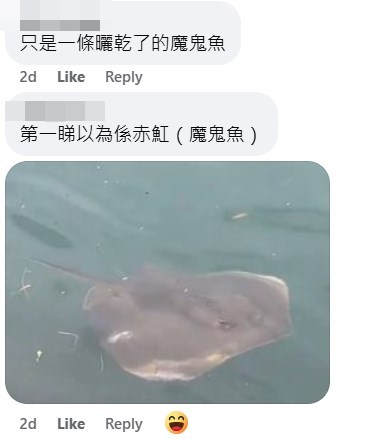 網民：只是一條曬乾了的魔鬼魚。fb「將軍澳主場」截圖