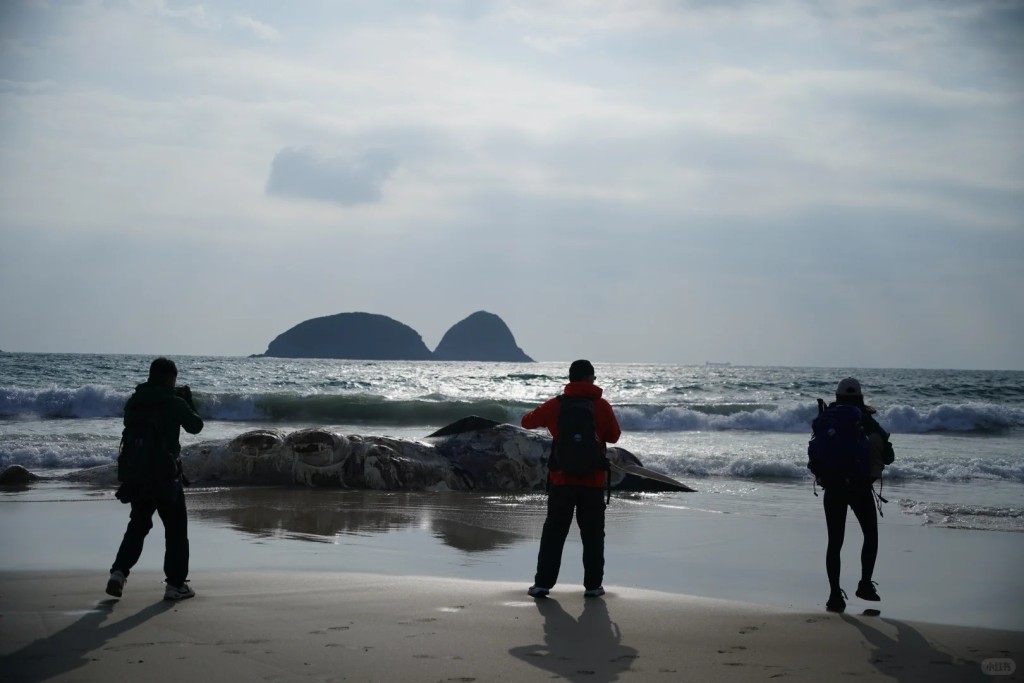 大批行山客靠近拍攝紀錄。小紅書圖片：junge