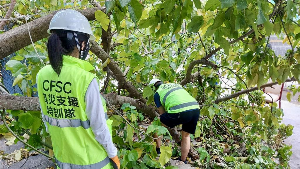 鲤鱼门村的风灾支援特训队，于风灾后协助清理塌树。