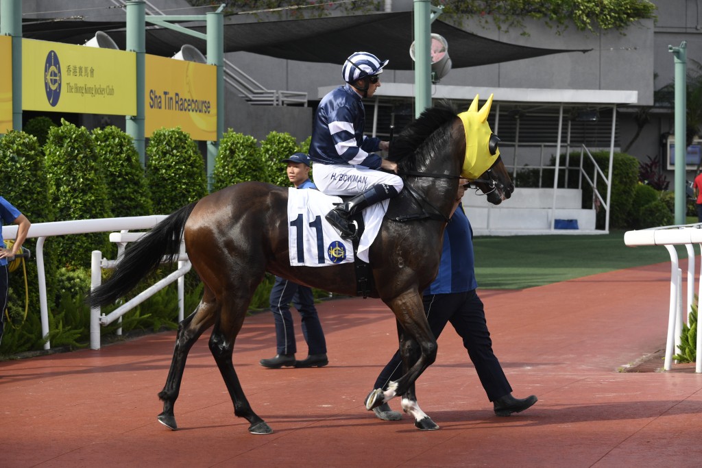 田泰安表示「極速之星」乃今場爭勝分子。