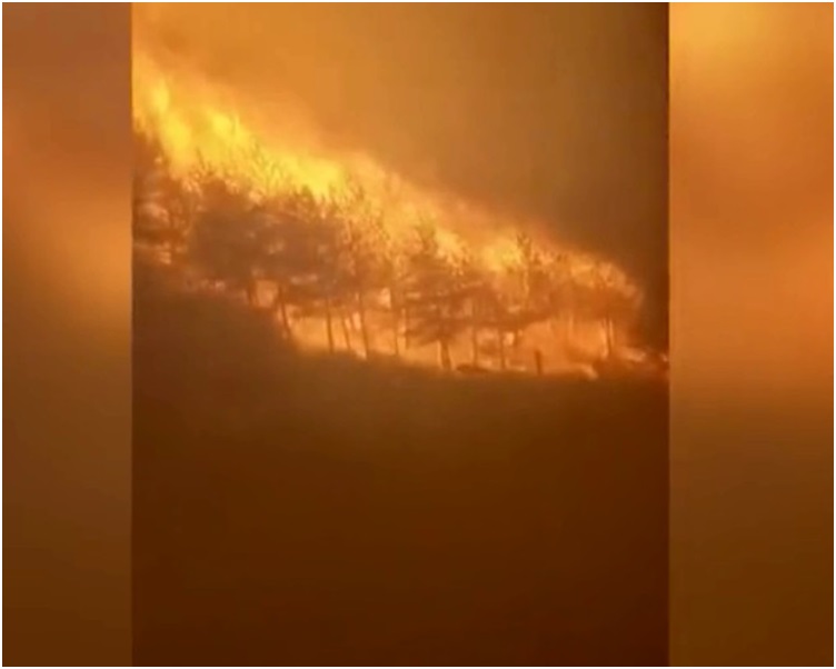 大火在昨日发生至今仍未救熄。