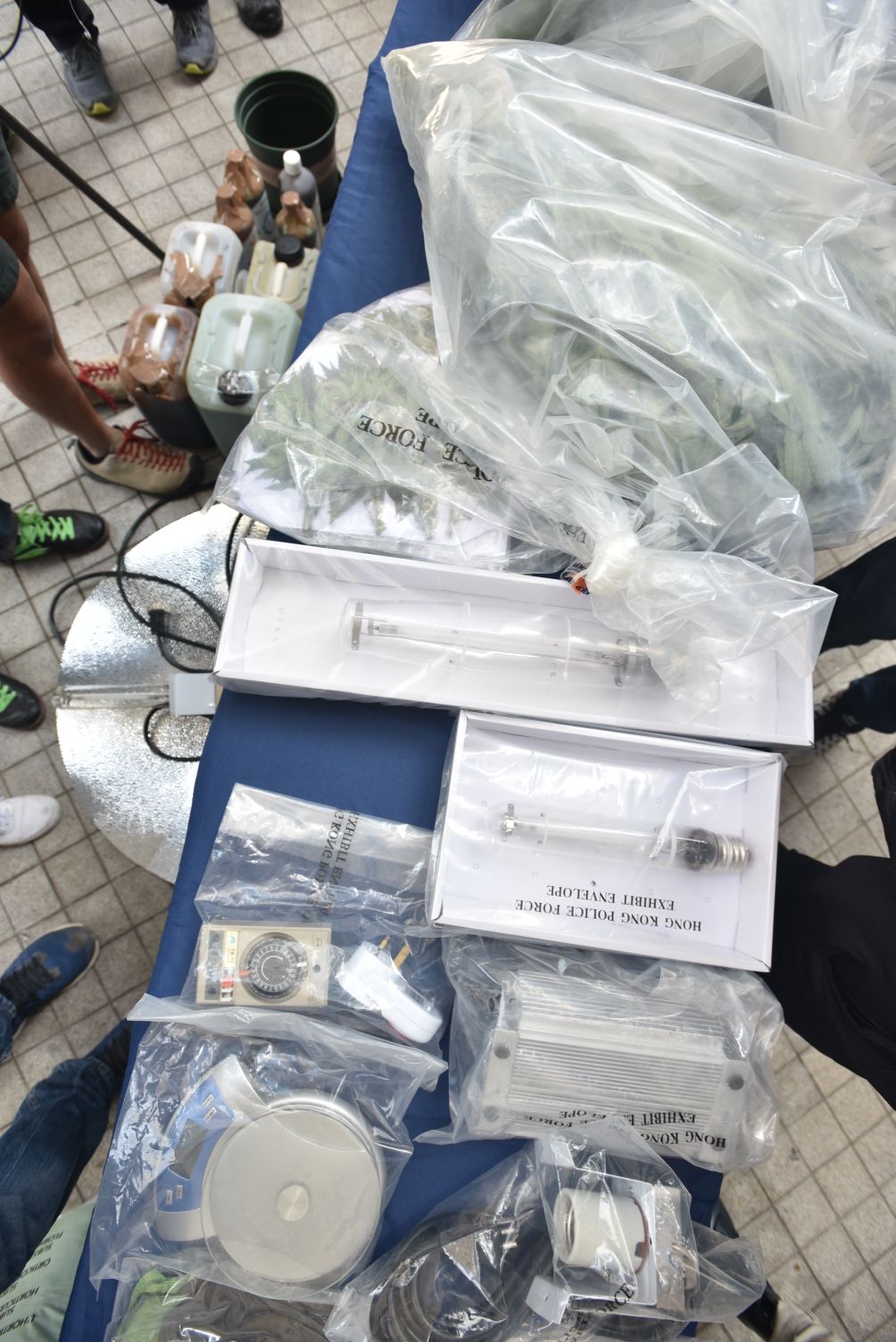 證物包括太陽燈。