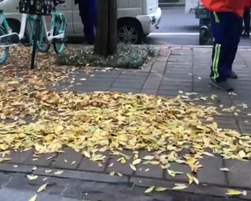 清潔工用水槍擊落樹葉。網上圖片