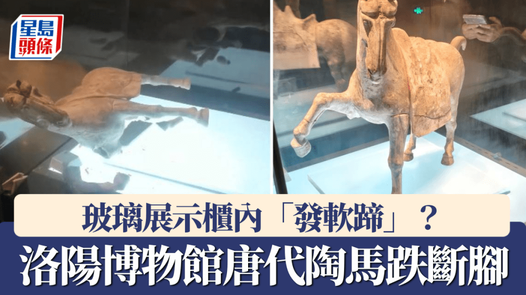 洛阳博物馆的唐代陶马在展示柜内跌倒碎裂。抖音