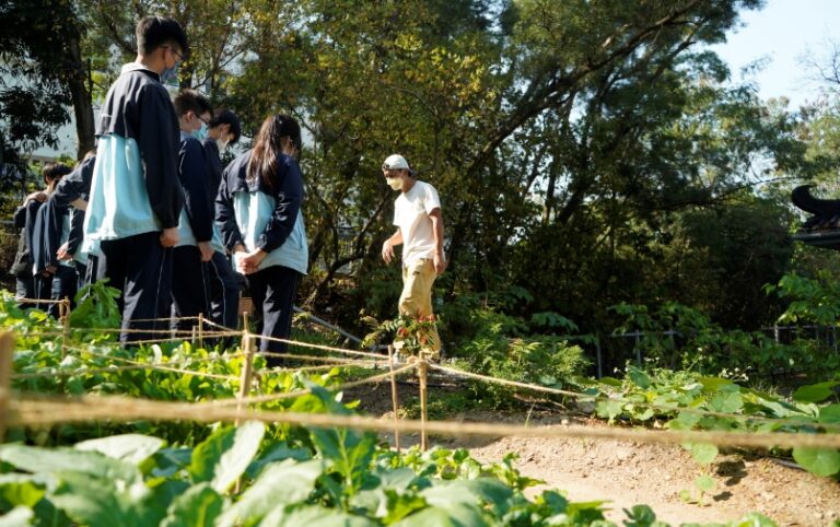 六）何東夫人醫局・生態研習中心｜何東夫人醫局．生態研習中心　近年由嗇色園活化為生態研習中心，向市民提供實地生物考察課程及體驗活動。