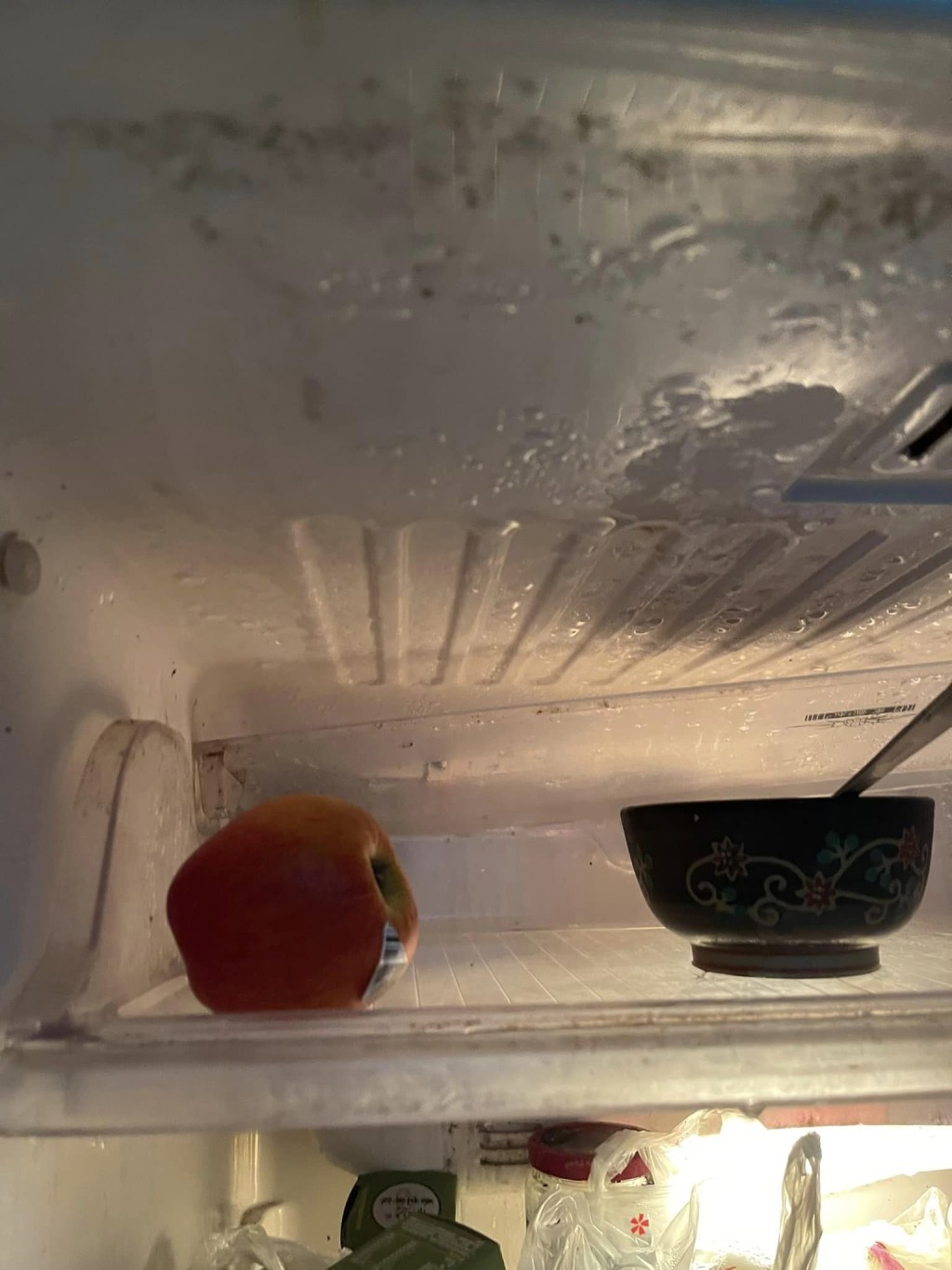 雪櫃存放的食物。因有漏水問題，雪櫃內部十分潮濕。（圖片來源：facebook群組「【爆怨公社】」）