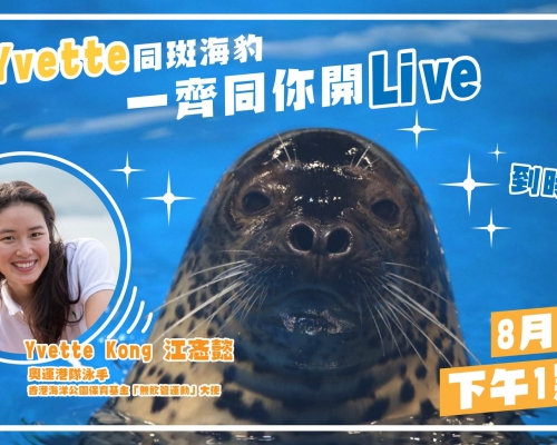 江忞懿化身海洋公園一日動物護理員。網上圖片