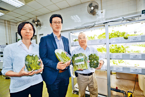 「全環控水耕研發中心」利用環控水耕技術將蔬菜收成縮短三分之一。