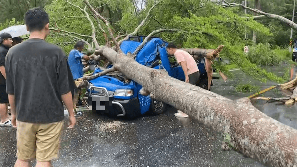 海葵颱風直撲東台灣，花蓮卓溪鄉台30線9公里處傳大樹倒塌壓到一輛行經的汽車。中時