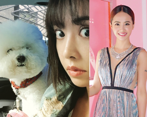 蔡依林與愛犬屋虎都眼定定望著鏡頭,表情非常有趣。