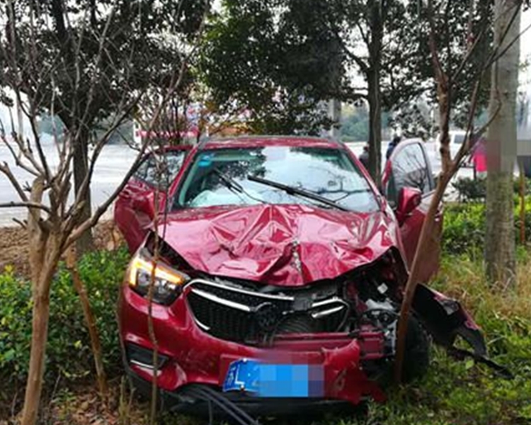 房車亦失控撞到路旁的綠化帶中。