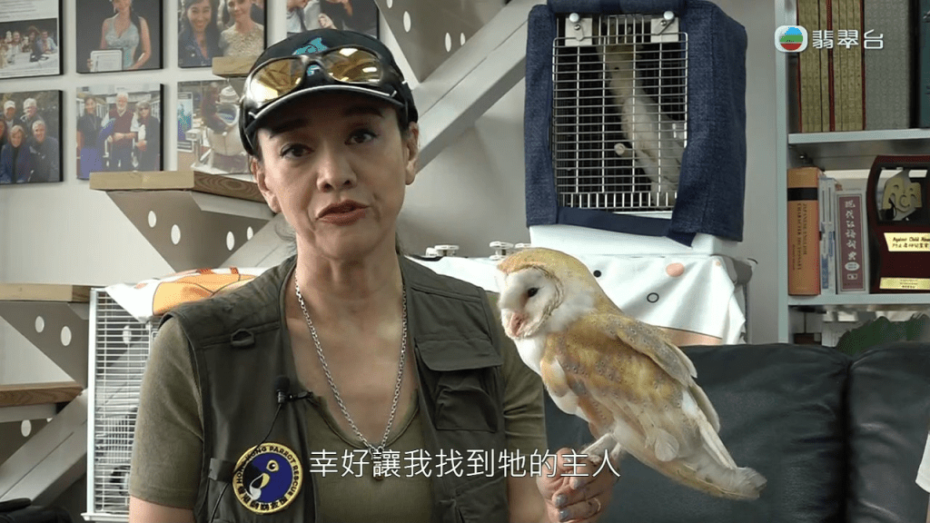 最终郭秀云报警求助，幸好成功联络到仓鸮的主人。