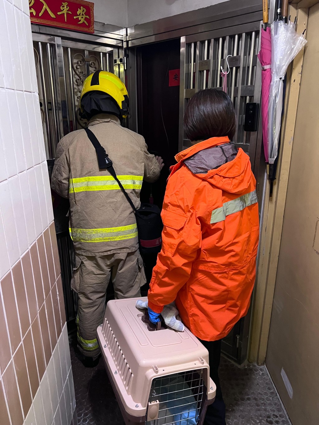 愛協共協助消防處理過136隻生還動物，及45隻已離世的動物。愛協提供圖片