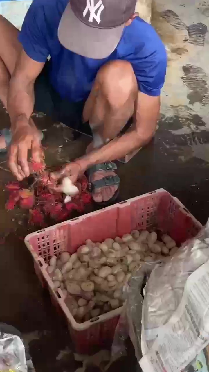 工人剝殼拋出果肉。網上截圖