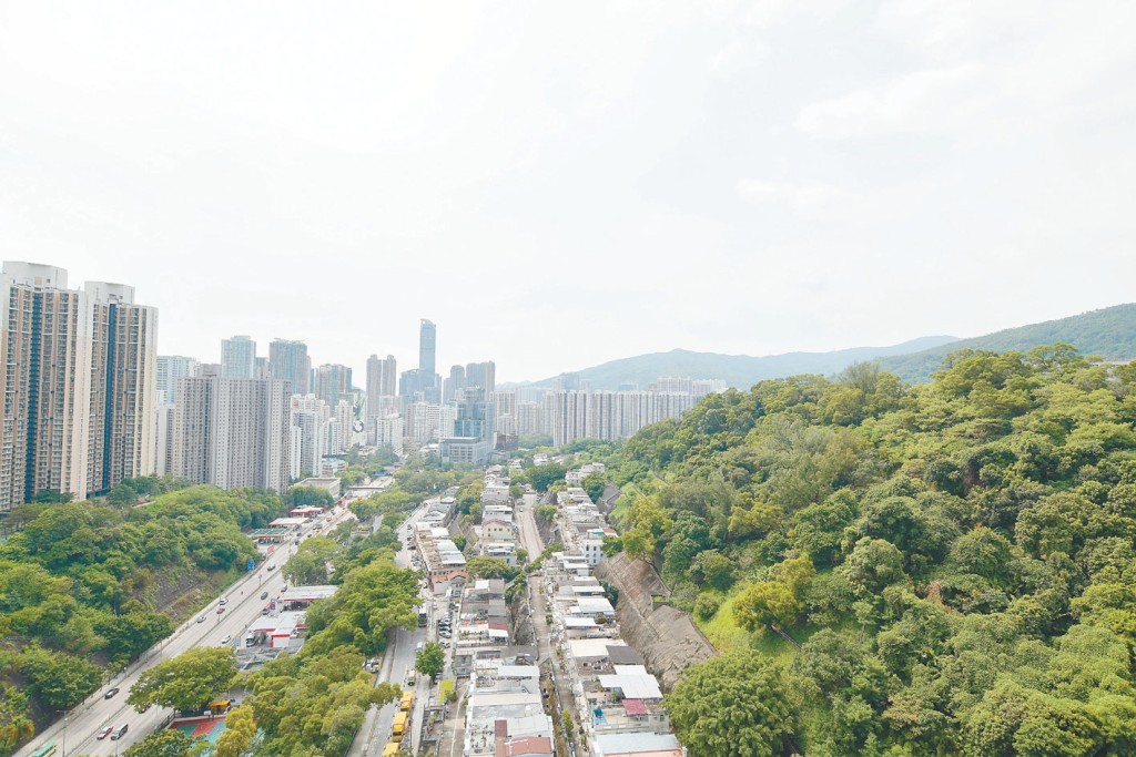 從露台外望附近村屋及山景，視野開闊。