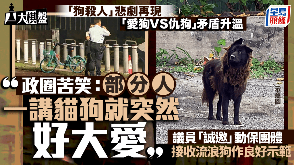 大棋盤︱「愛狗VS仇狗」矛盾再升溫 長遠應「零流浪」？政圈苦笑：有人一講貓狗就突然「好大愛」