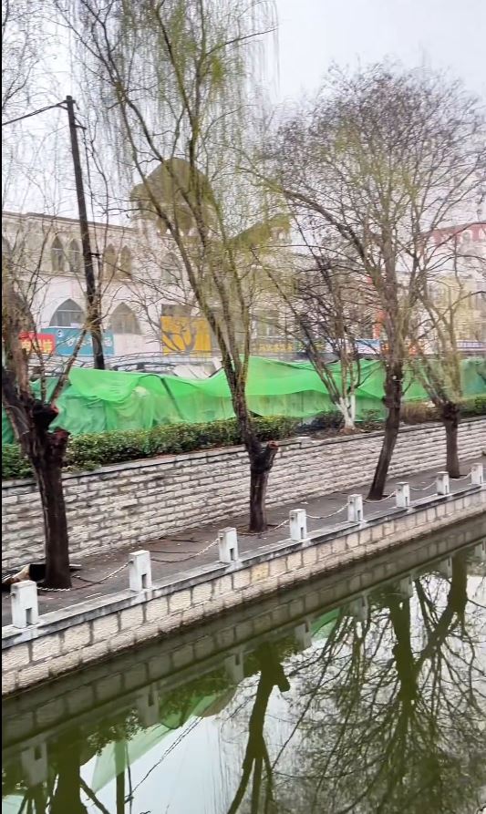 爆炸波及範圍極大。