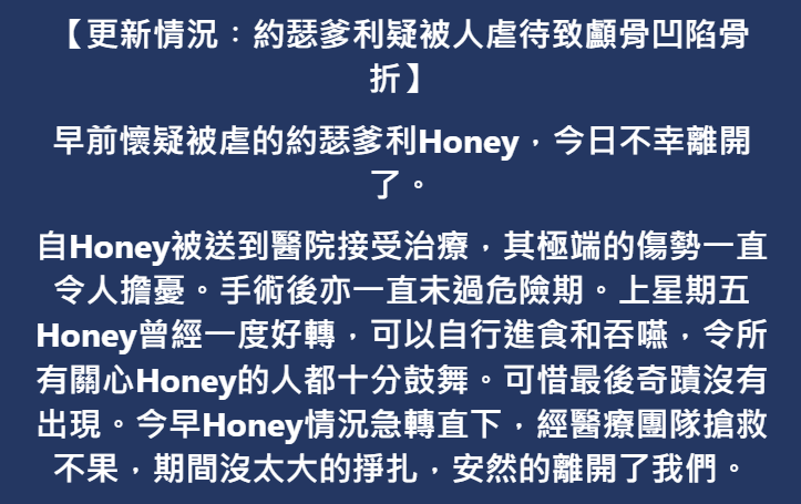 獸醫診所在facebook交代Honey最新情況。