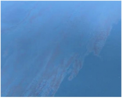 整個油污面積料擴散至約58平方公里。
