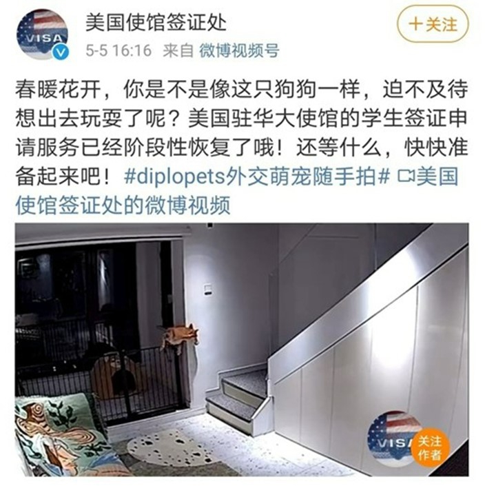 網上圖片 網上圖片