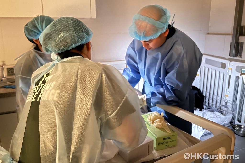 關員正悉心照料幼犬。 關員正悉心照料幼犬。