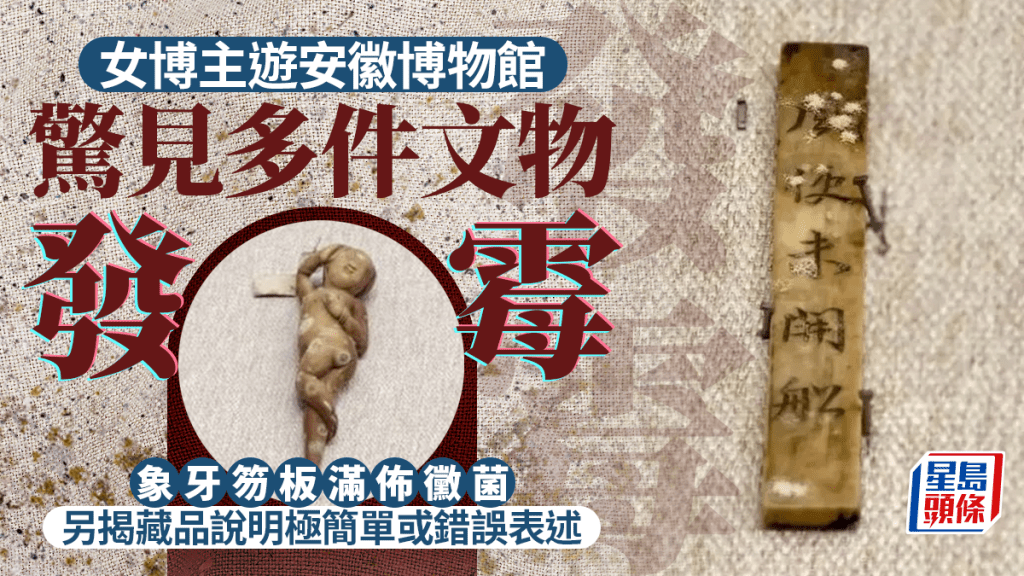 安徽一博物館被發現多件文物發霉。