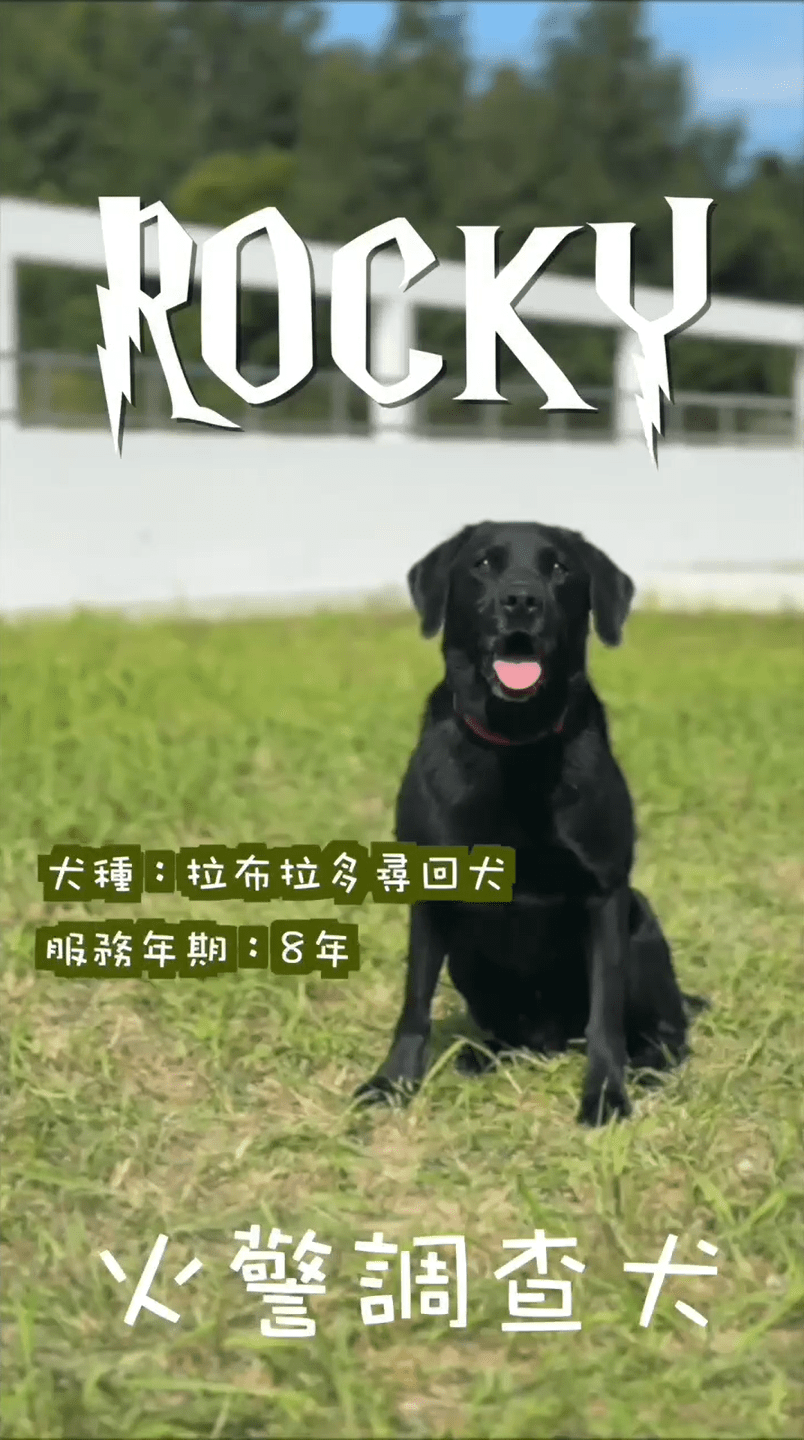 火警調查犬Rocky。