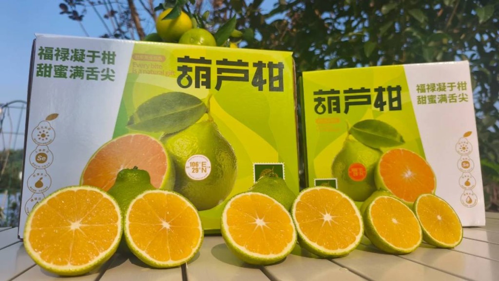西南大學自種的柑橘「陽光二號」,網上開售首日即賣出三成。小紅書@柑同學