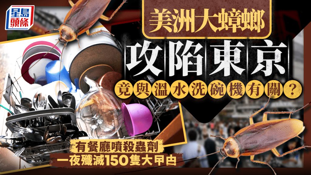 美洲大蟑螂攻陷東京。
