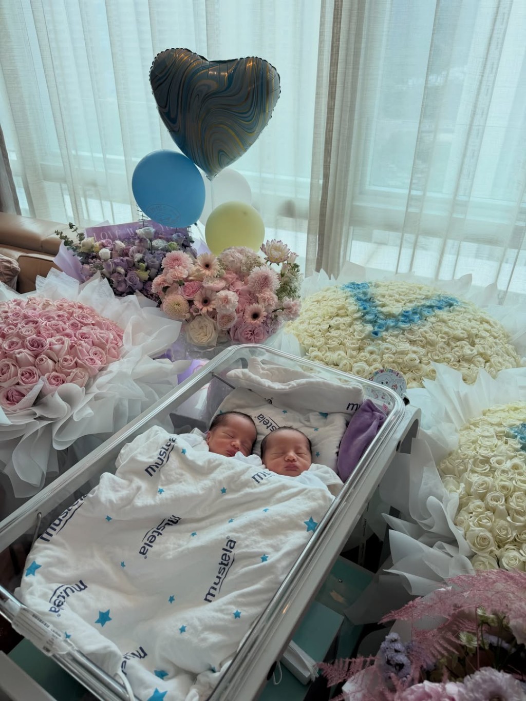 譚嘉儀誕下雙胞胎。