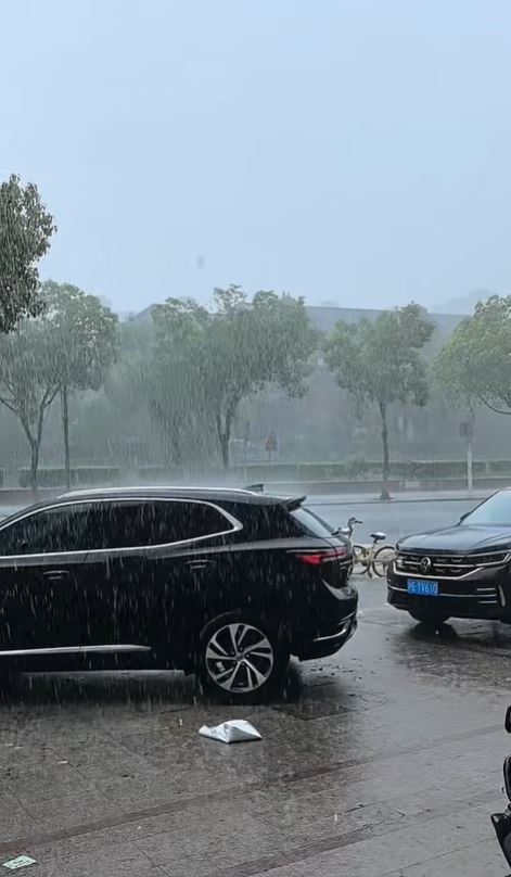 颱風「竹節草」吹襲上海，高速公路限速，渡輪停航，有3成航班延誤或取消。小紅書