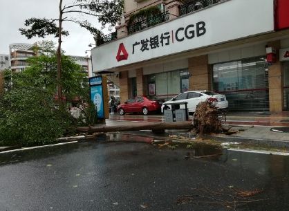 市內一片狼藉。網圖