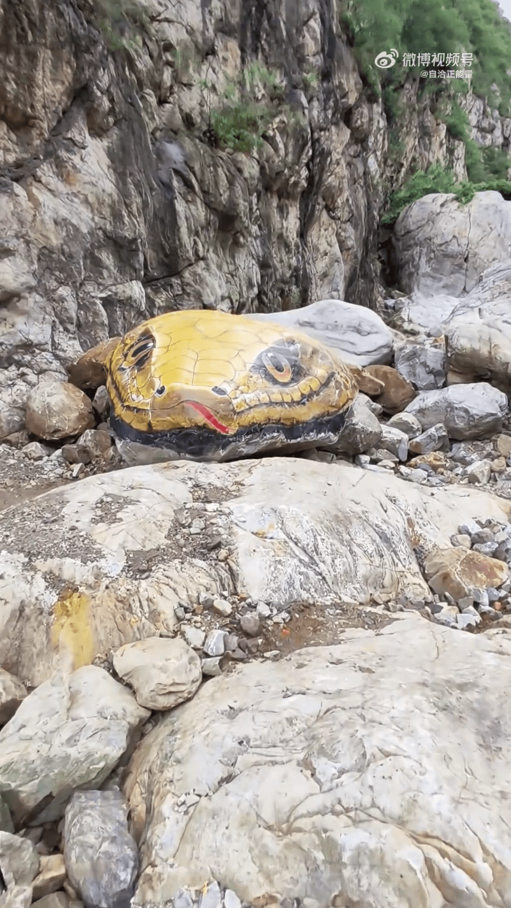 河南嵩山玉皇溝景區 「巨型蛇頭」彩繪,非常逼真。 河南嵩山玉皇溝景區 「巨型蛇頭」彩繪,非常逼真。