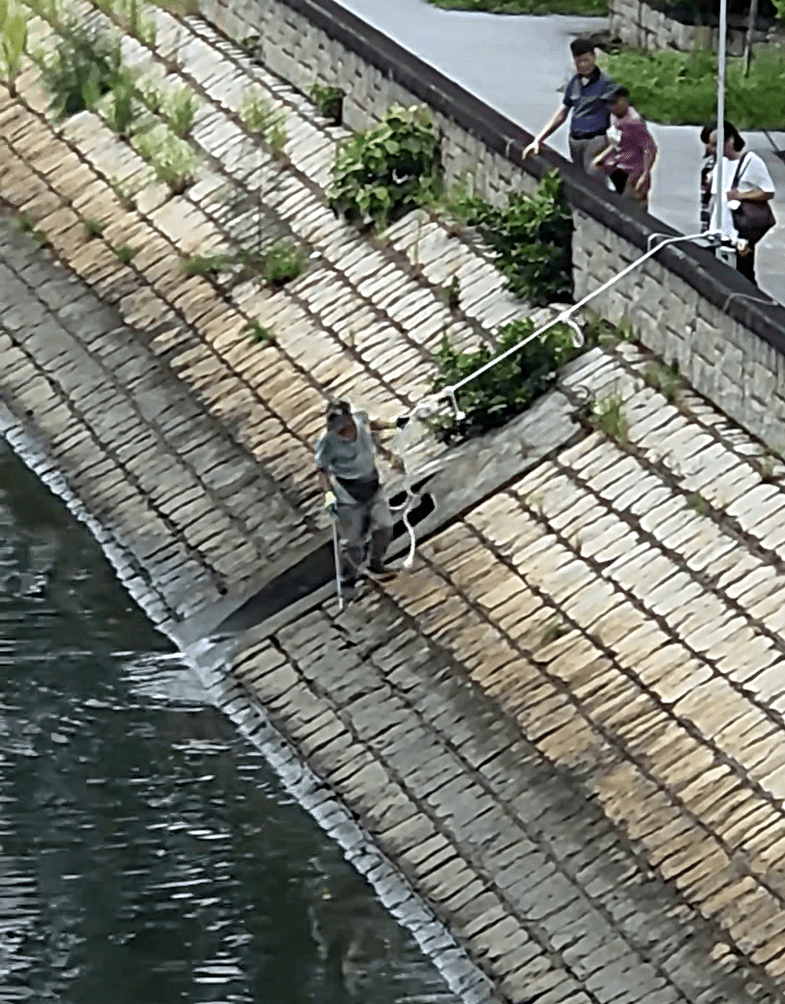 有市民昨天用勾捕殺魔鬼魚。網上截圖