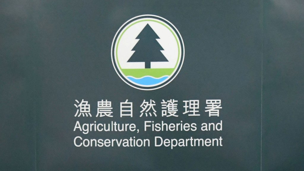 漁護署在今年1至2月的60次巡邏中，共移除26個狩獵器具。資料圖片