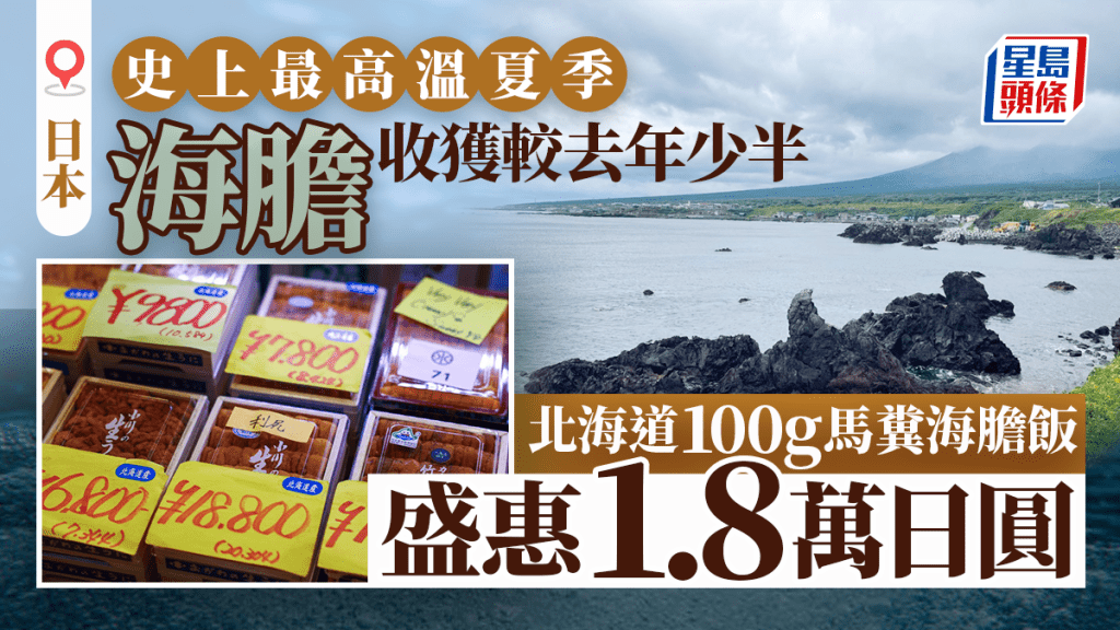 遊日注意 | 海水暖化魚獲大減 北海道100g馬糞海膽飯  漲至1.8萬日圓