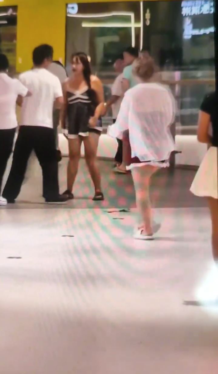 長沙女商場放狗不用繩，遭男子掟狗兜巴星，但網民反勁贊打人者。