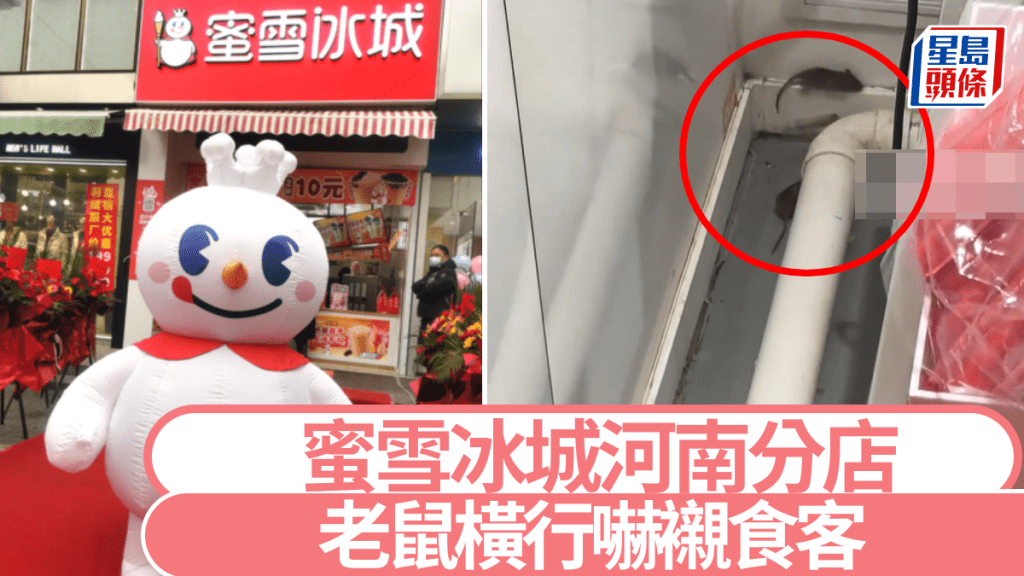 蜜雪冰城河南有分店驚現老鼠橫行。