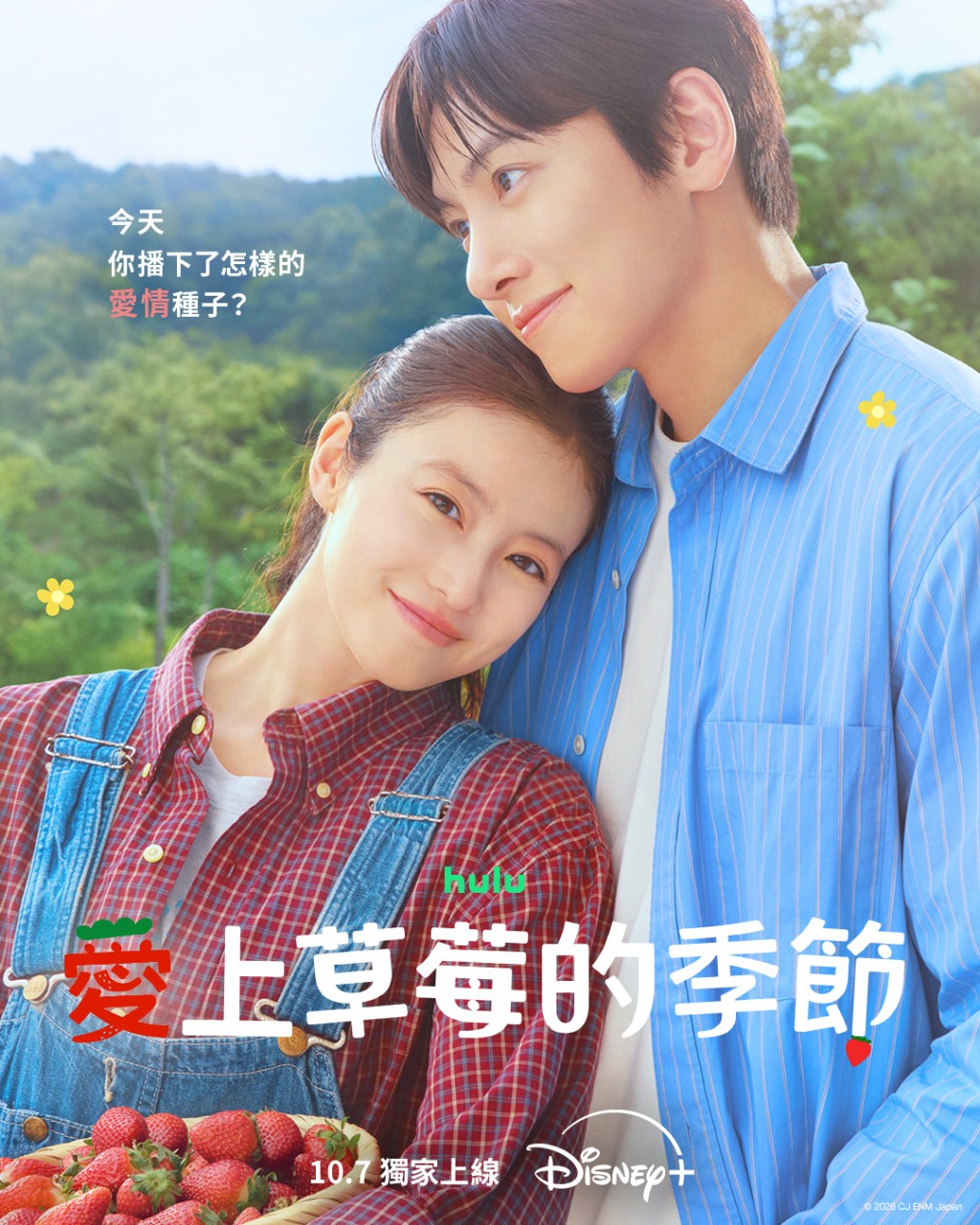 池昌旭與今田美櫻領銜主演《愛上草莓的季節》。