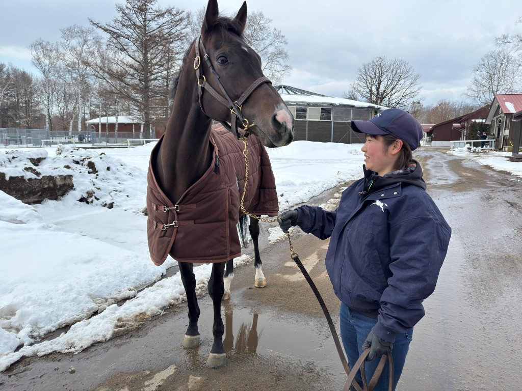 「金鎗六十」在Kawaii（可愛）的日本女馬伕牽引下顯得精神奕奕，享受退休生活。