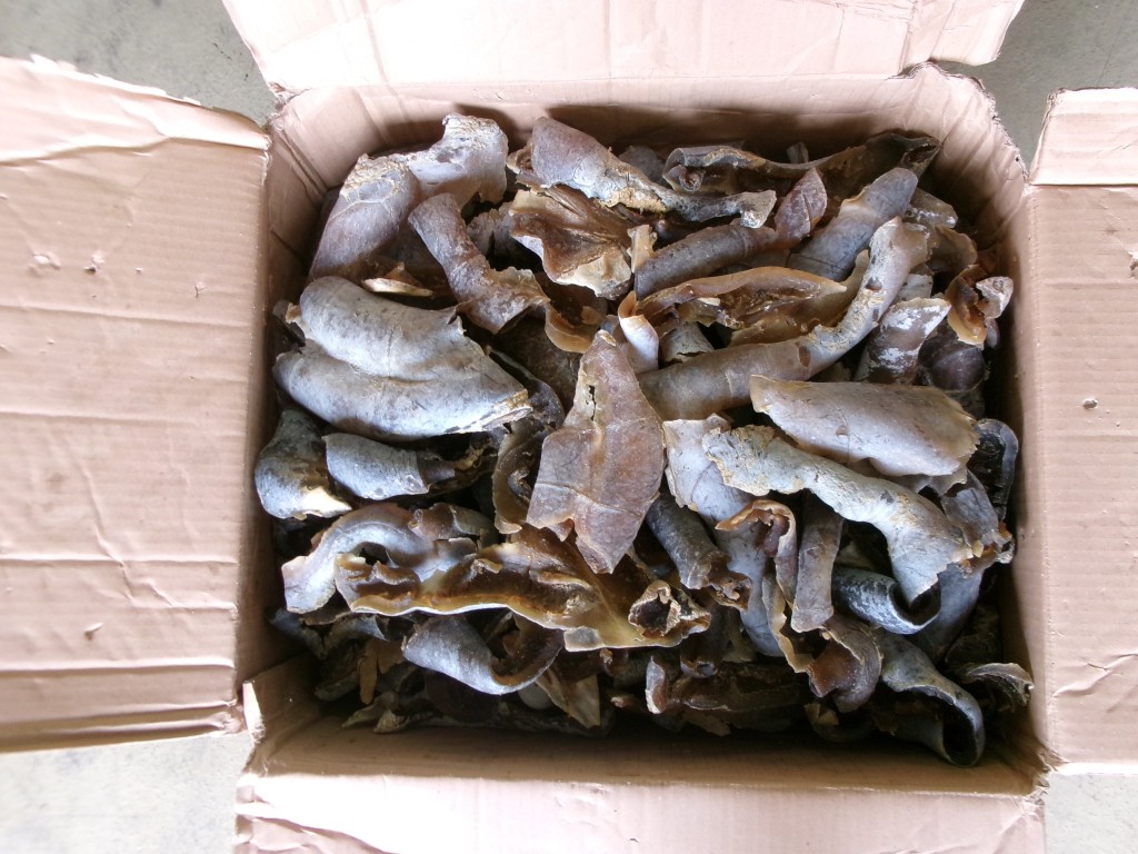 走私貨物包括懷疑藥劑製品、懷疑受管制屬瀕危物種的膨魚鰓及植物、乾海味、雪茄及電子產品。