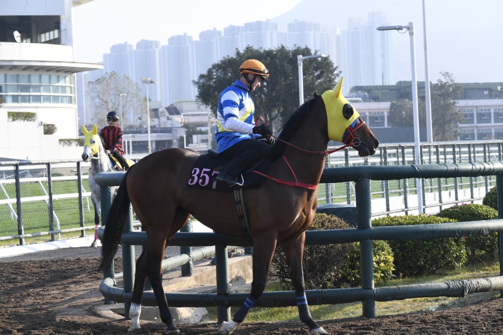 「錶之宇宙」副練踱一圈，輕描淡定完成，神態自若豎起雙耳，馬身靚且力度充足，傷癒對辦極惹好感。
